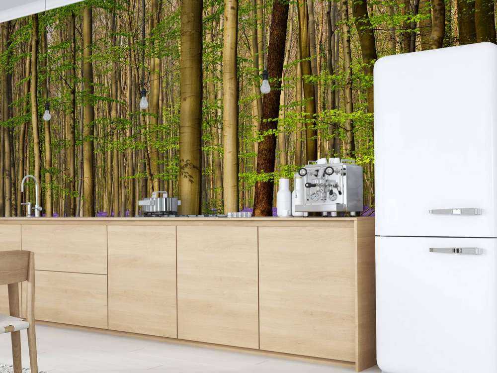 Las z hiacyntami leśnymi