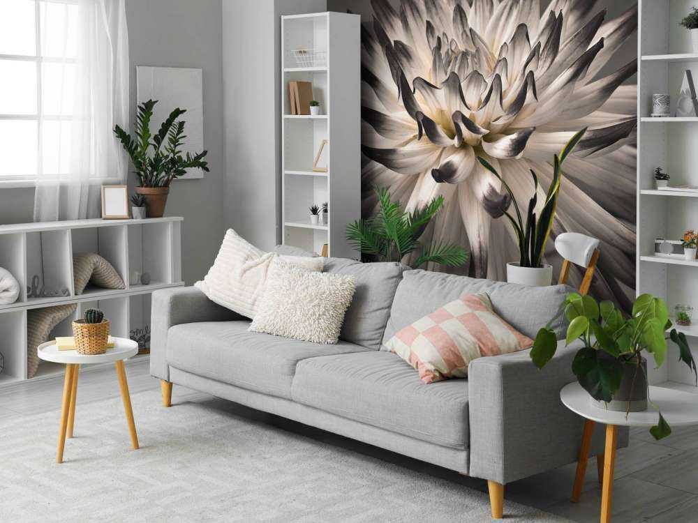 Kwiat dalii czarno-biały