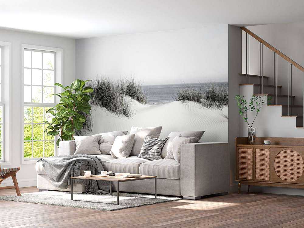 Przejście z wydmy na plażę czarno-białe