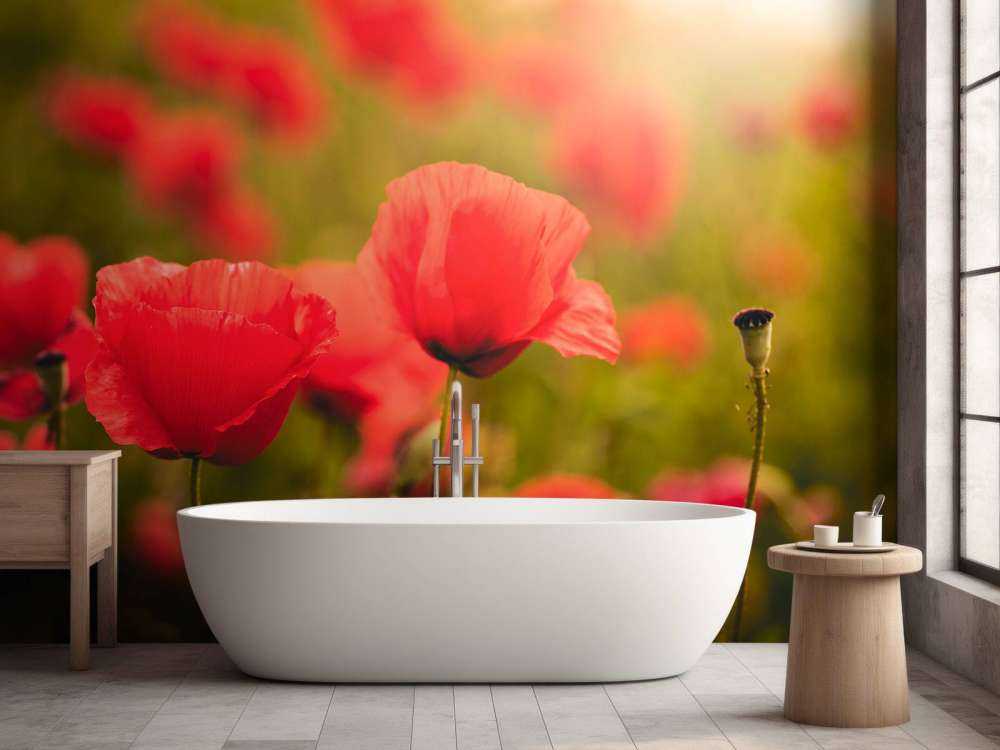 Maki o wschodzie słońca