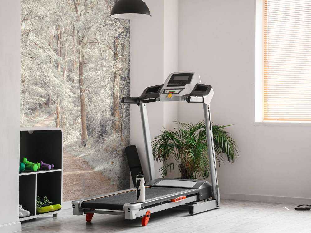 Ścieżka przez zielony las