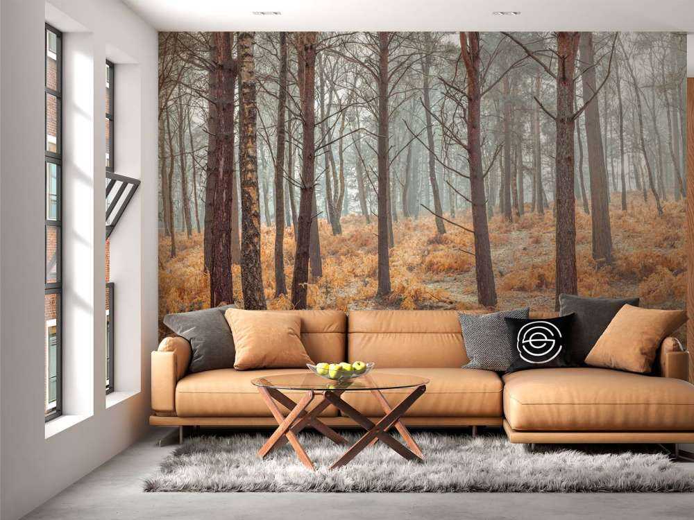 Las w okresie jesiennym