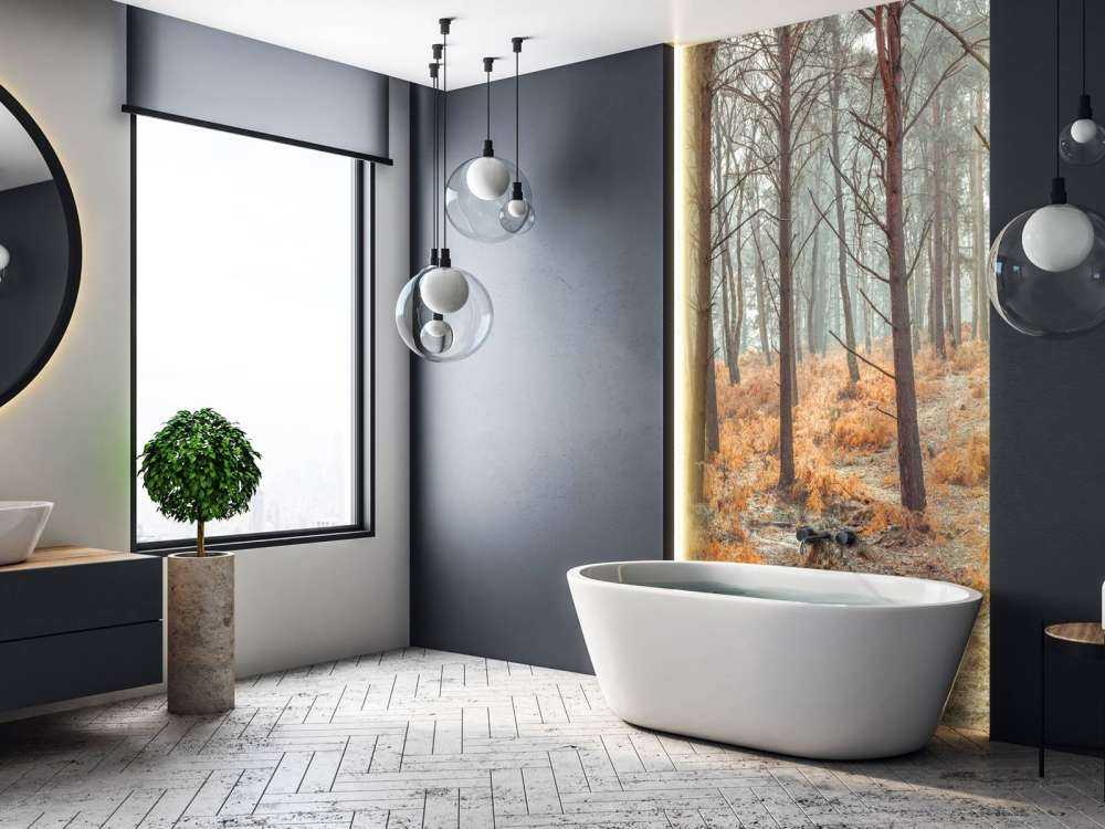 Las w okresie jesiennym