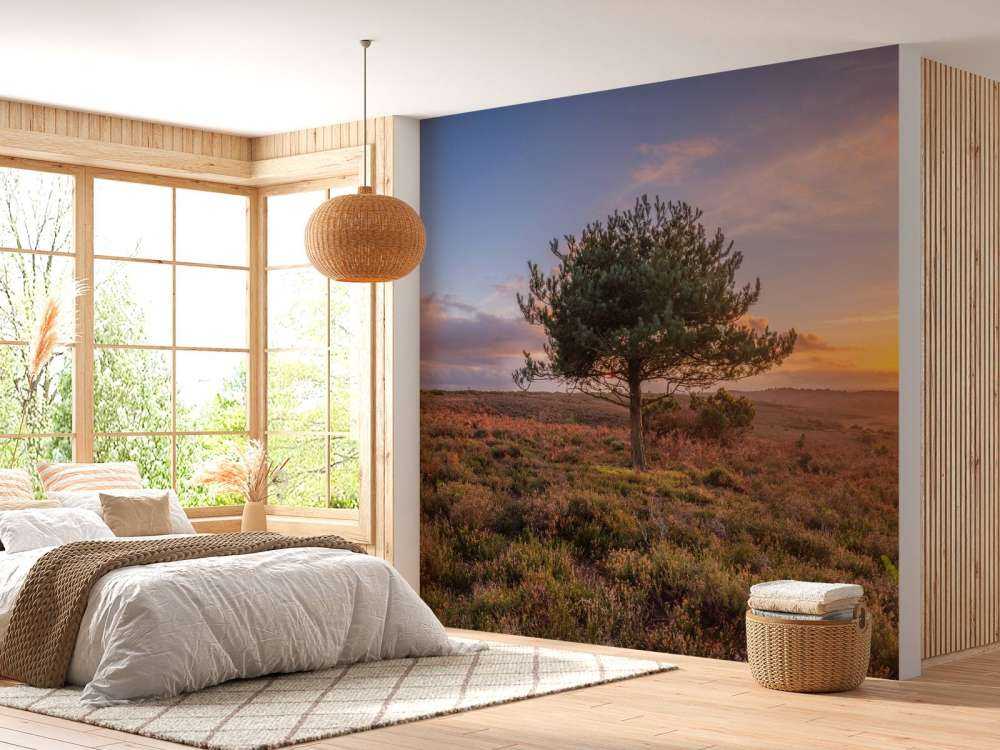 Zachód słońca w opuszczonej okolicy