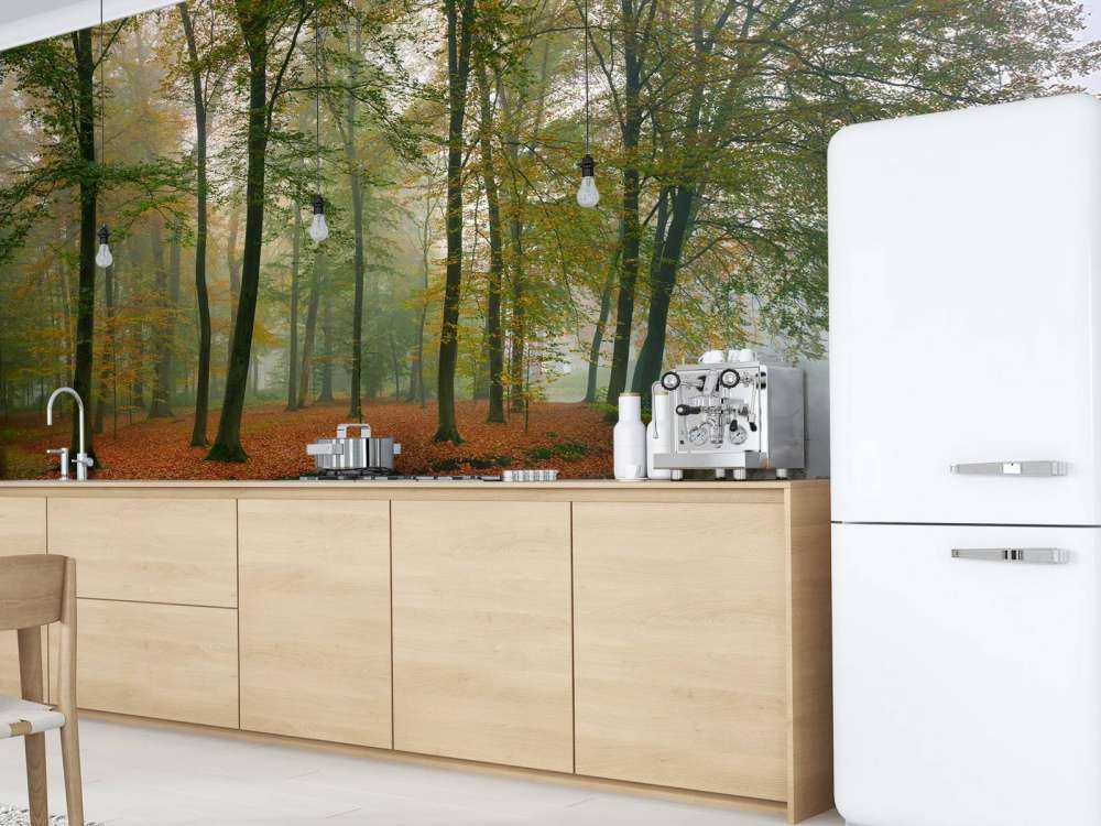 Odbicie drzew w stawie