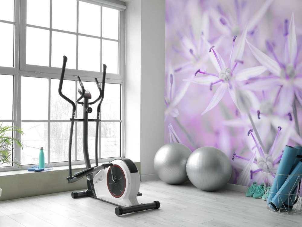 Zbliżenie na kwiaty allium