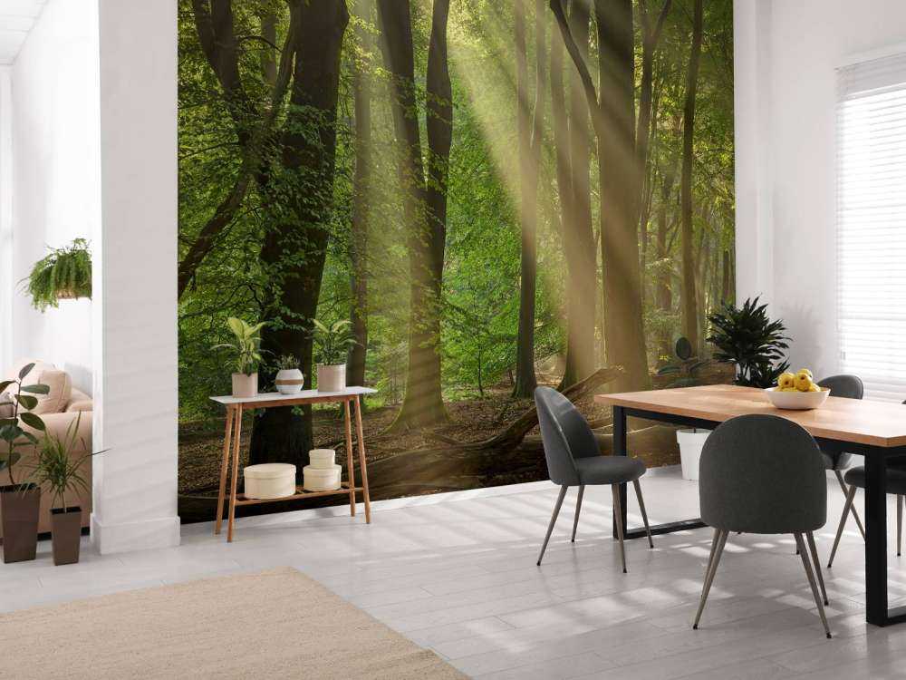 Harfy słoneczne w lesie