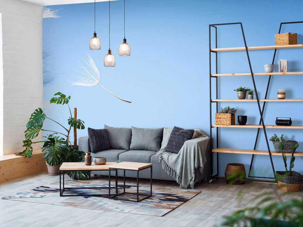 Latający puch mlecz lekarski