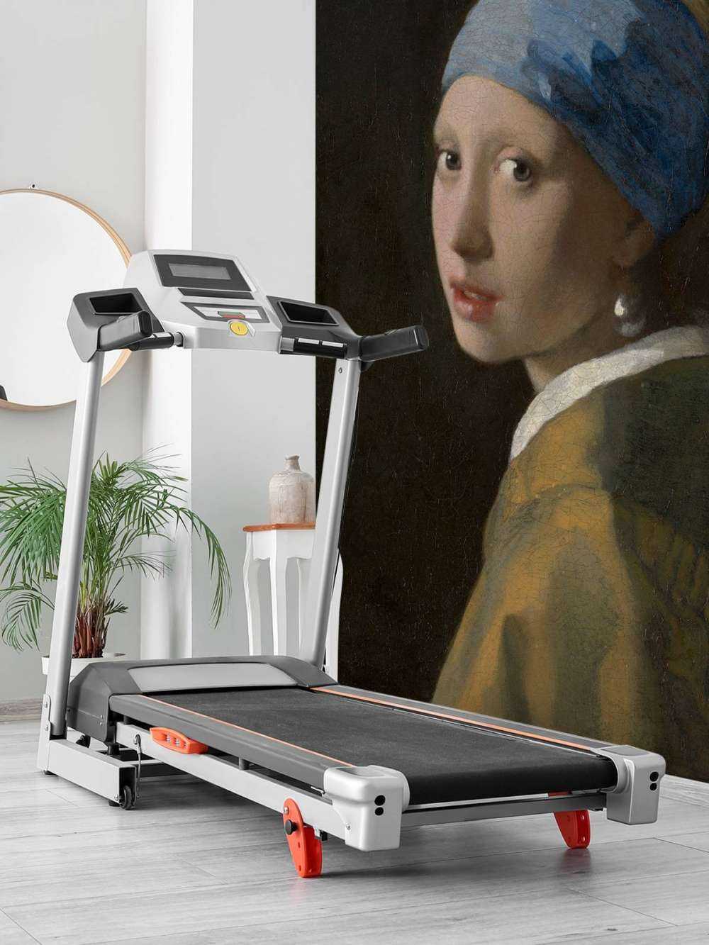 Dziewczyna z perłą