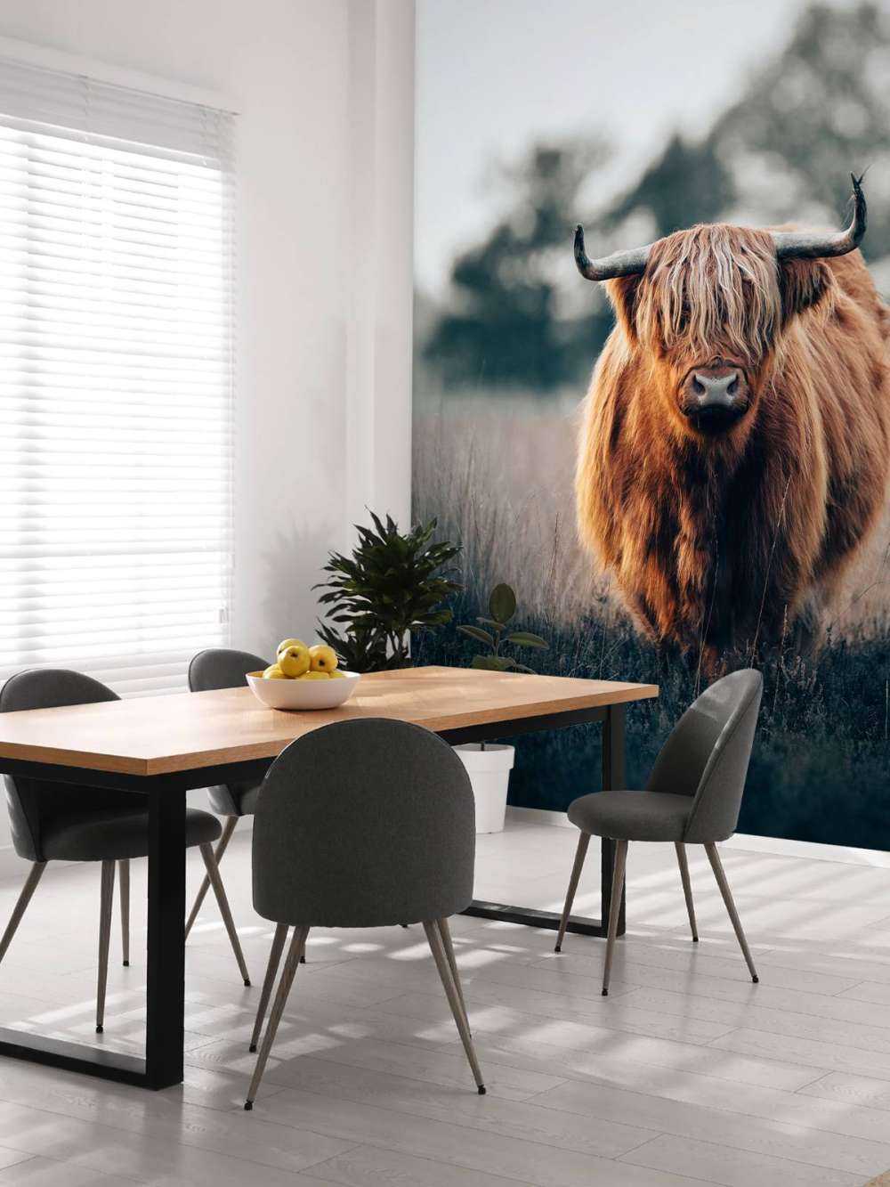 Portret mieszkańców Highlands