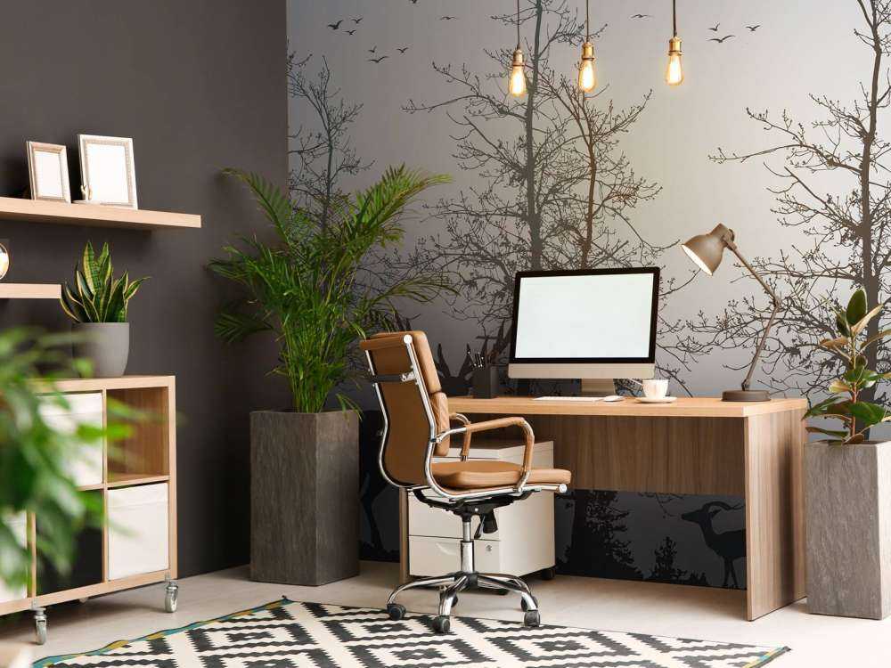 Kontur zimy Leśna cisza