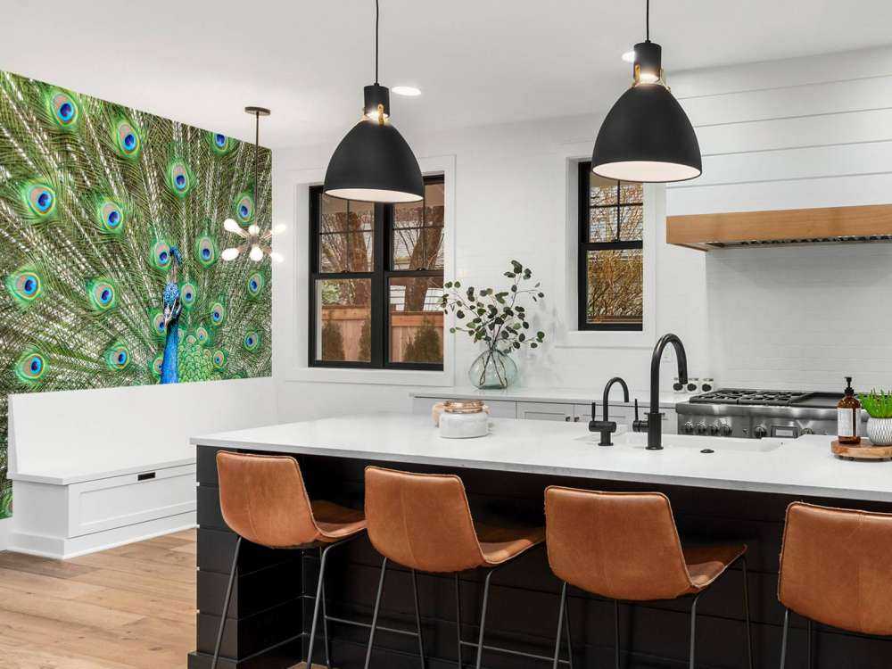 Paw z rozszerzonymi piórami