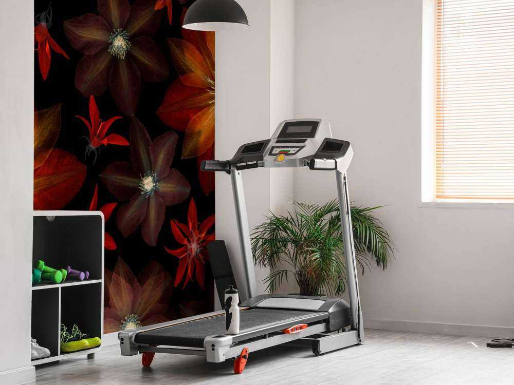 Czerwone kwiaty clematisa