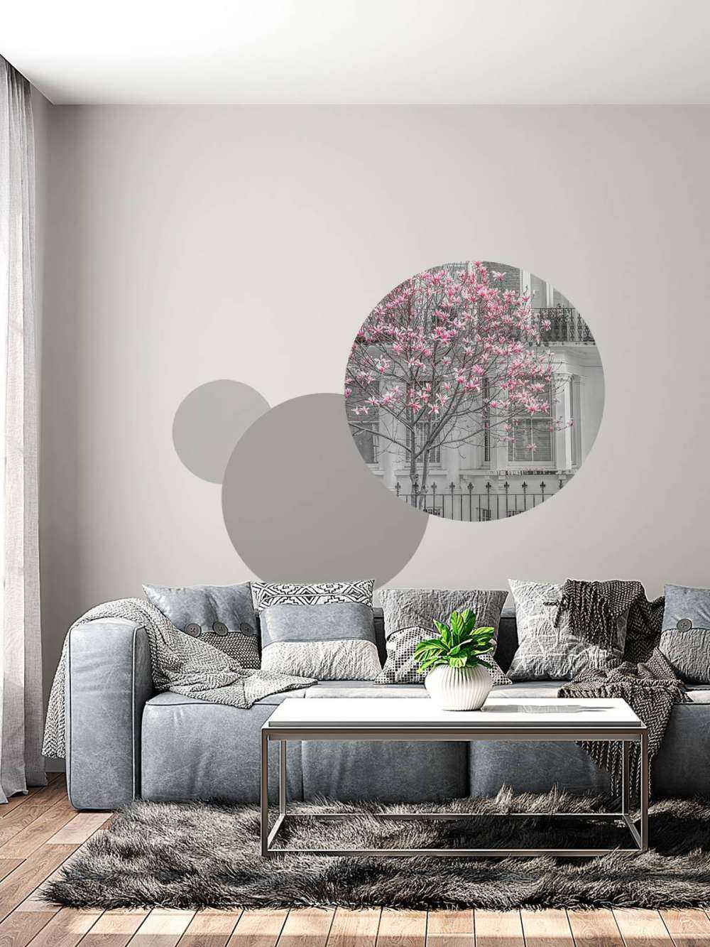 Kwitnące drzewo magnolii