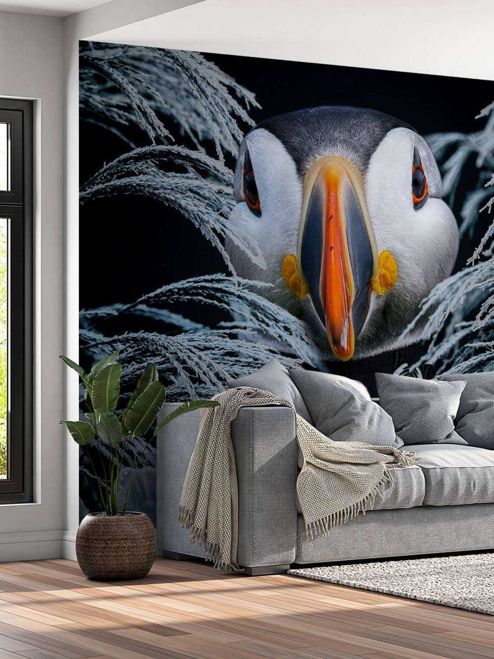 Atlantic Puffins Portrecie