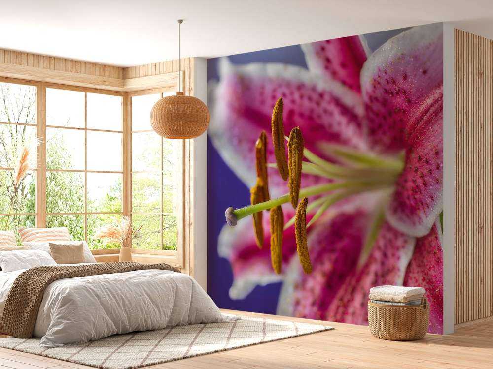 Zbliżenie na różowy kwiat