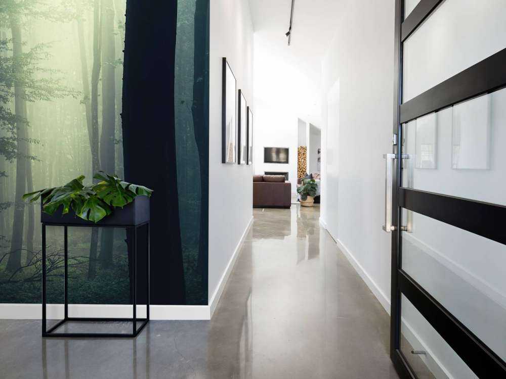 Promień słońca w lesie