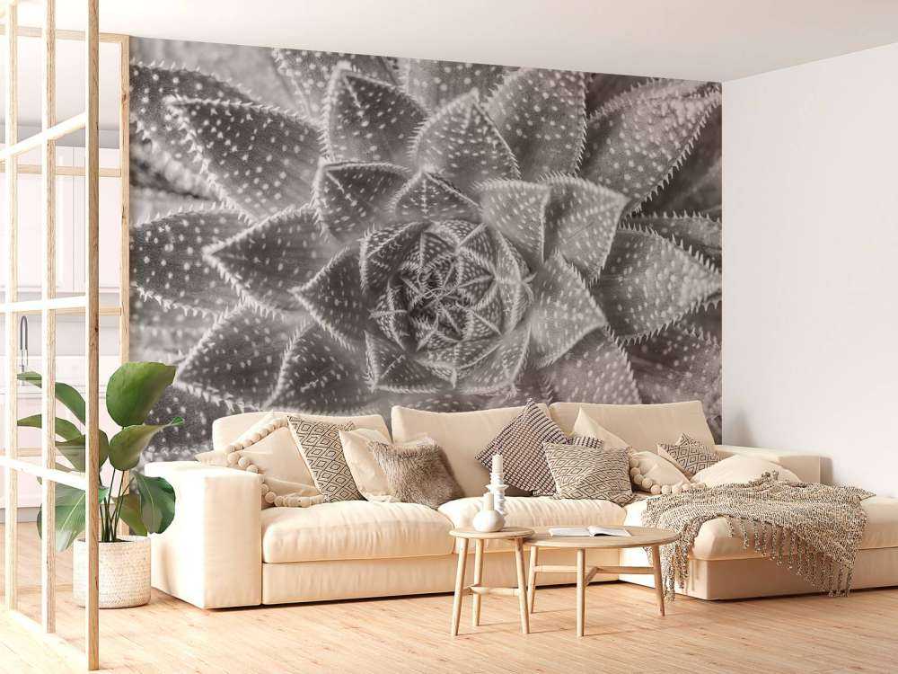 Sukulent w czerni i bieli