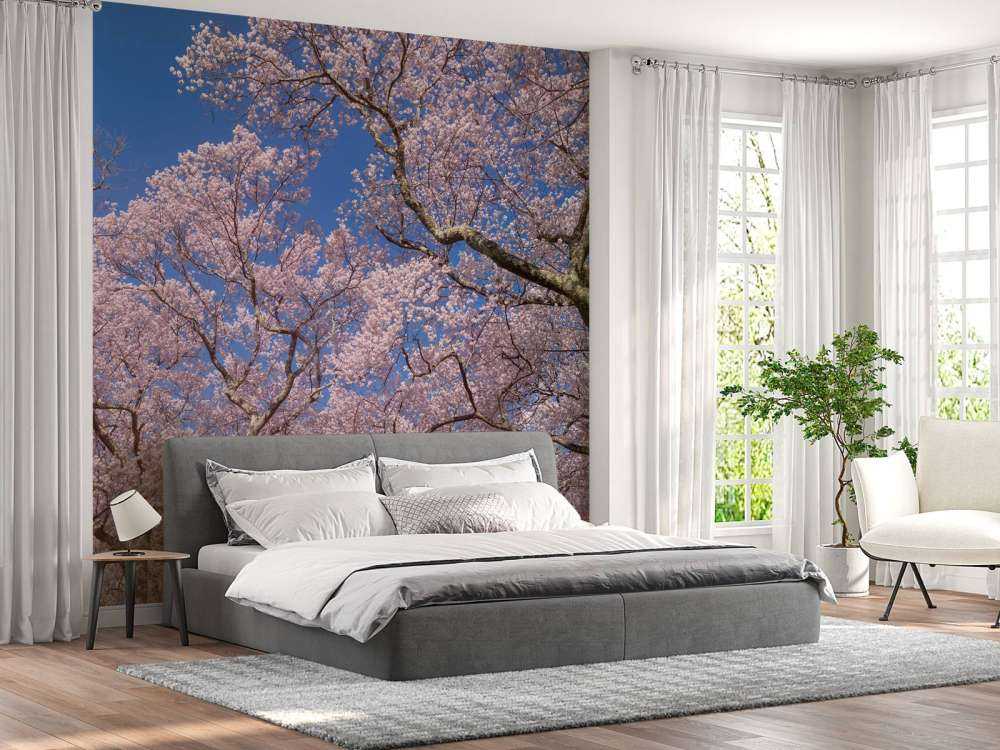 Kwiaty na tle błękitnego nieba