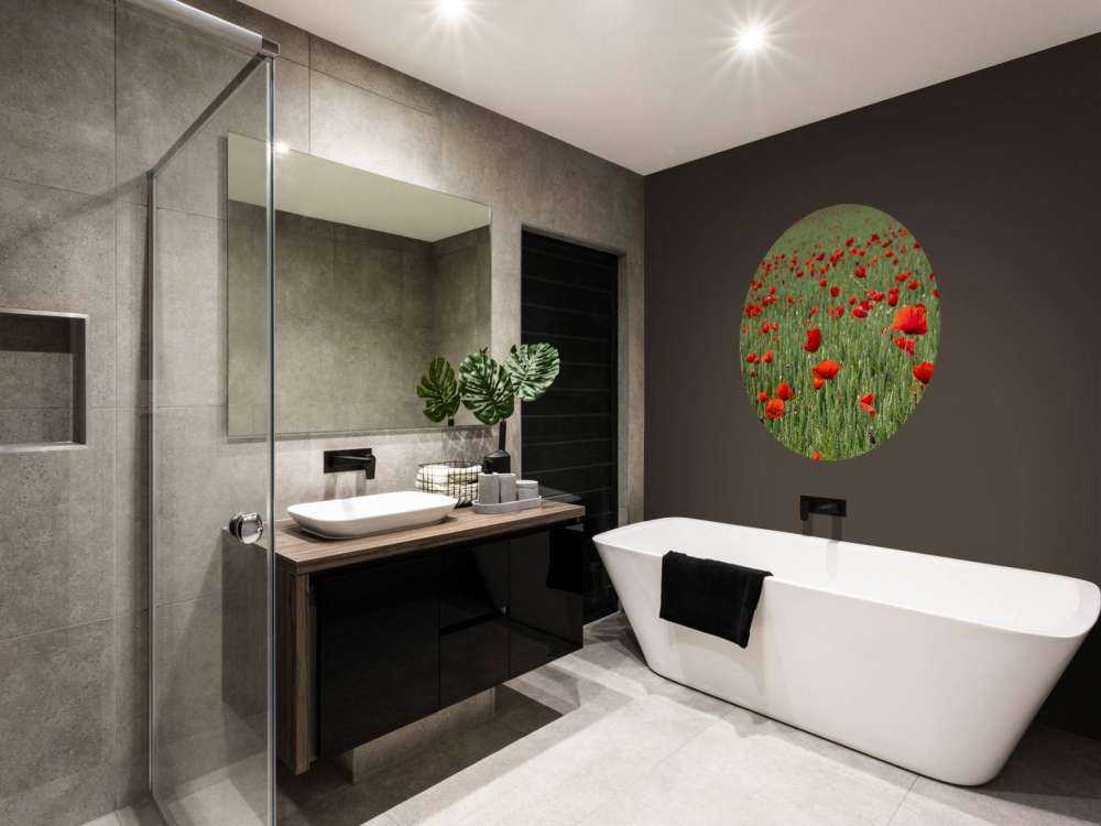 Pole czerwonych maków