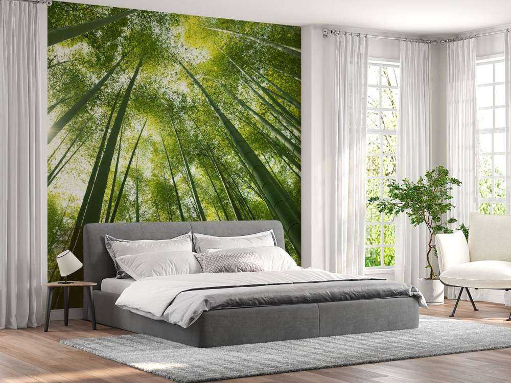 Las bambusowy w Japonii