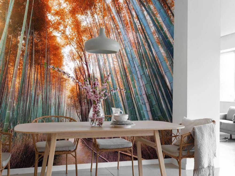 Jesienny las bambusowy