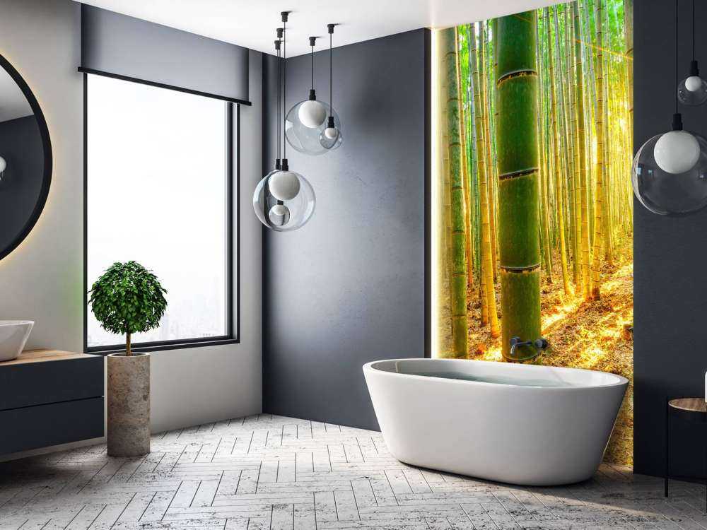 Las bambusowy o wschodzie słońca