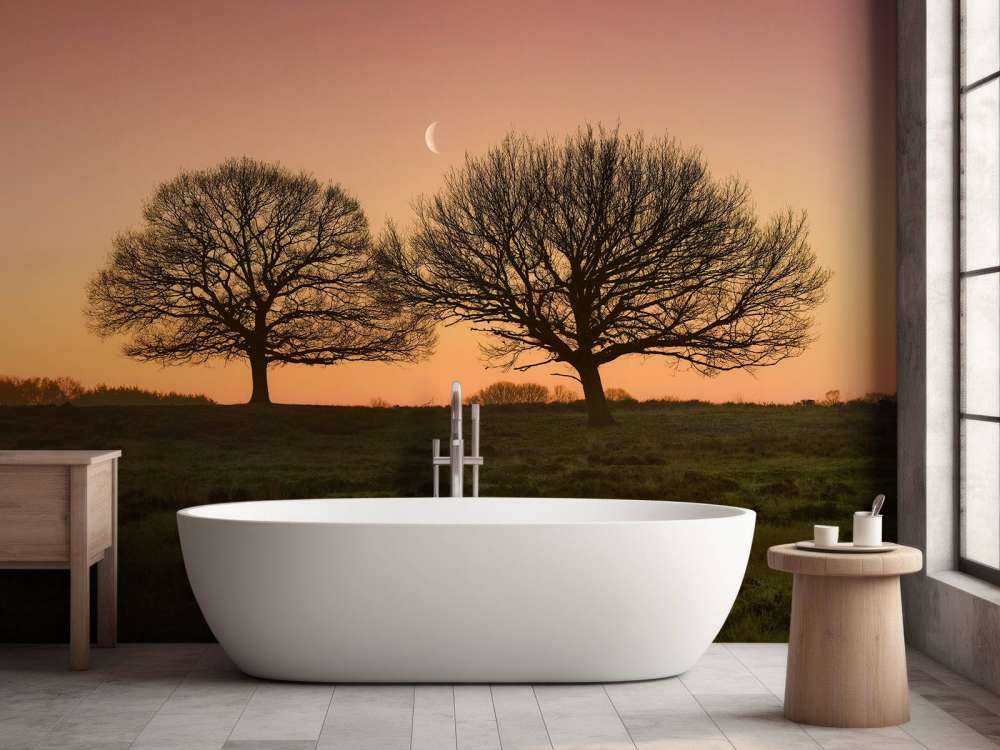 Księżyc między drzewami