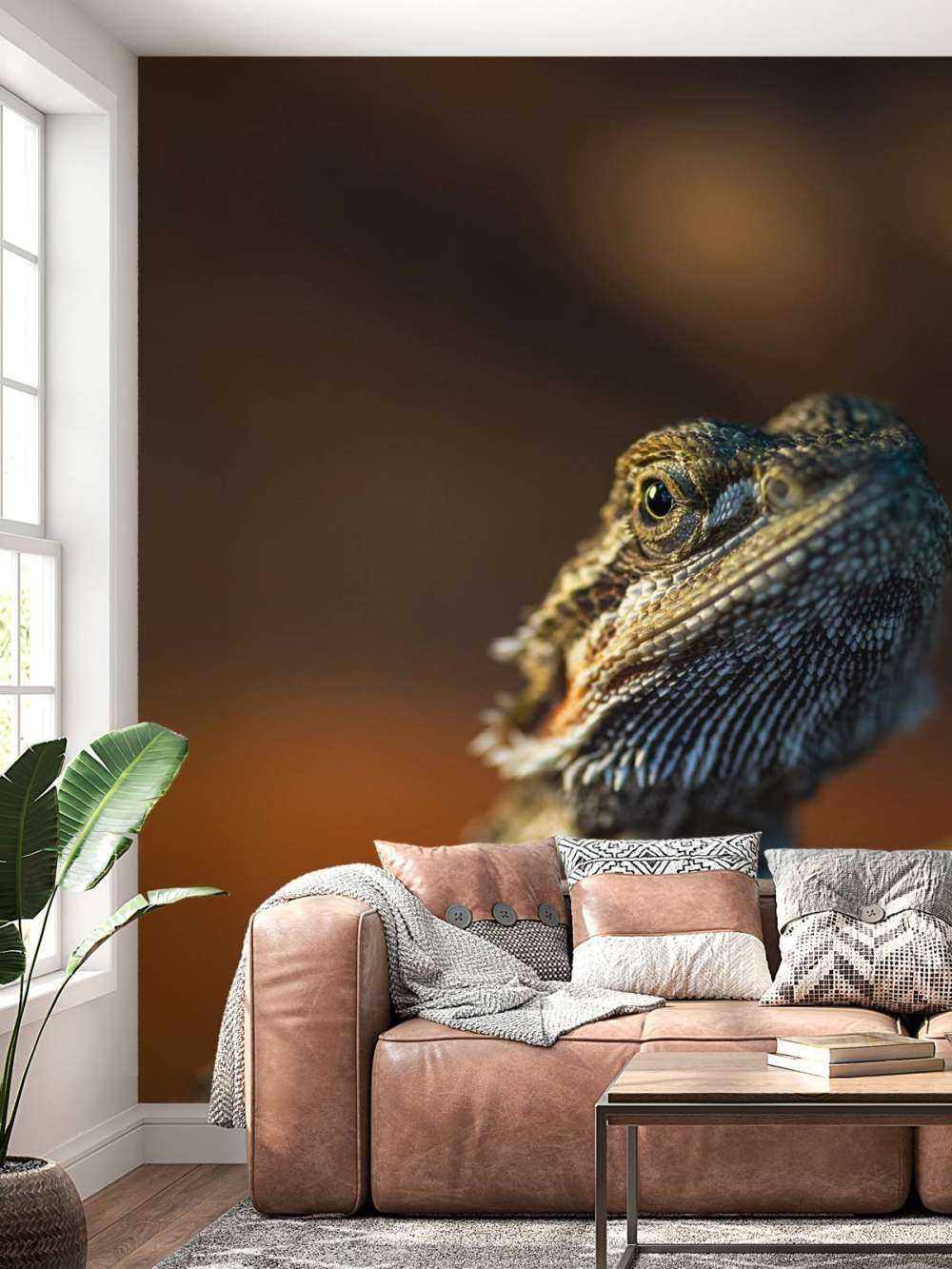 Kameleon w zbliżeniu