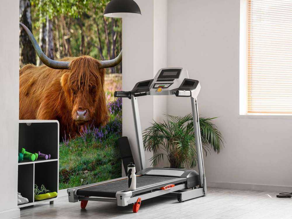 Odpoczywająca szkocka rasa wyżynna