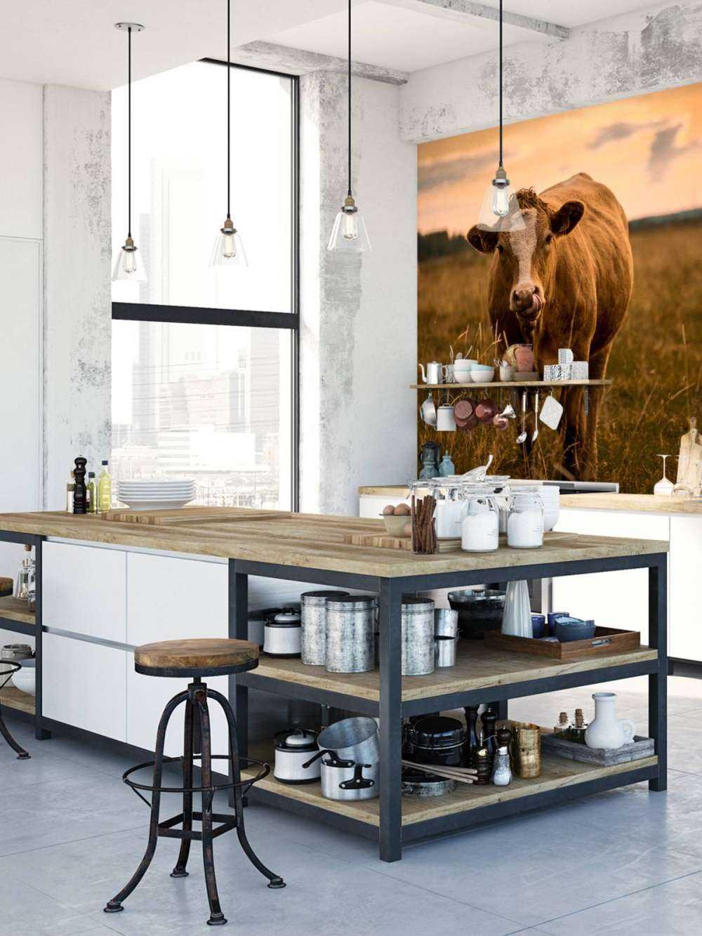 Krowa z językiem w nosie