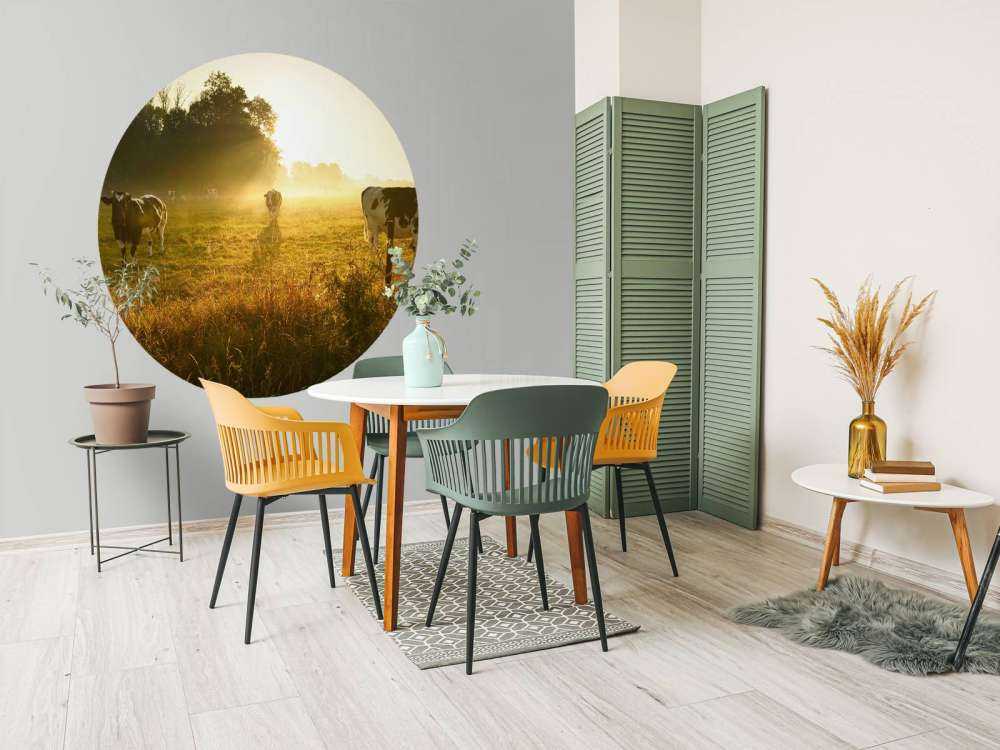 Krowa o wschodzie słońca