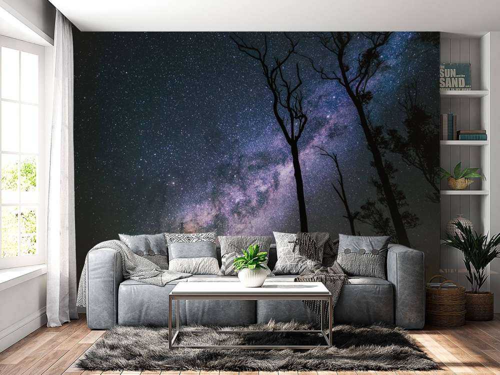 Gwiazdy między drzewami