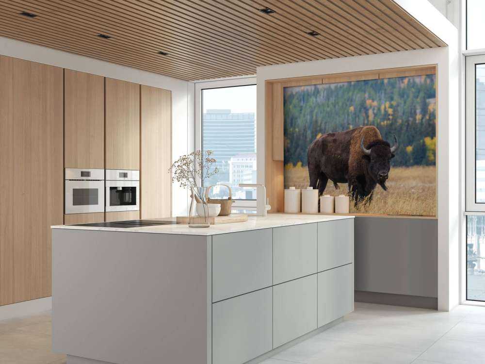 Bawół amerykański