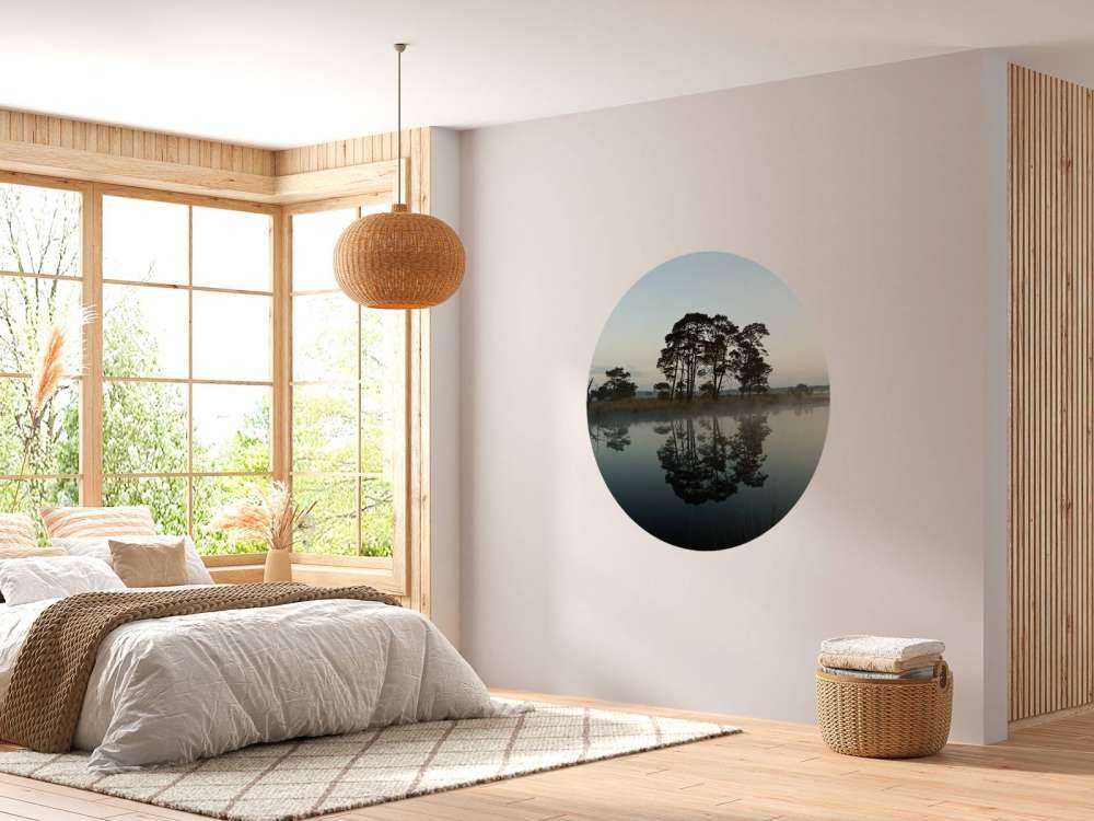 Drzewa wzdłuż lasów