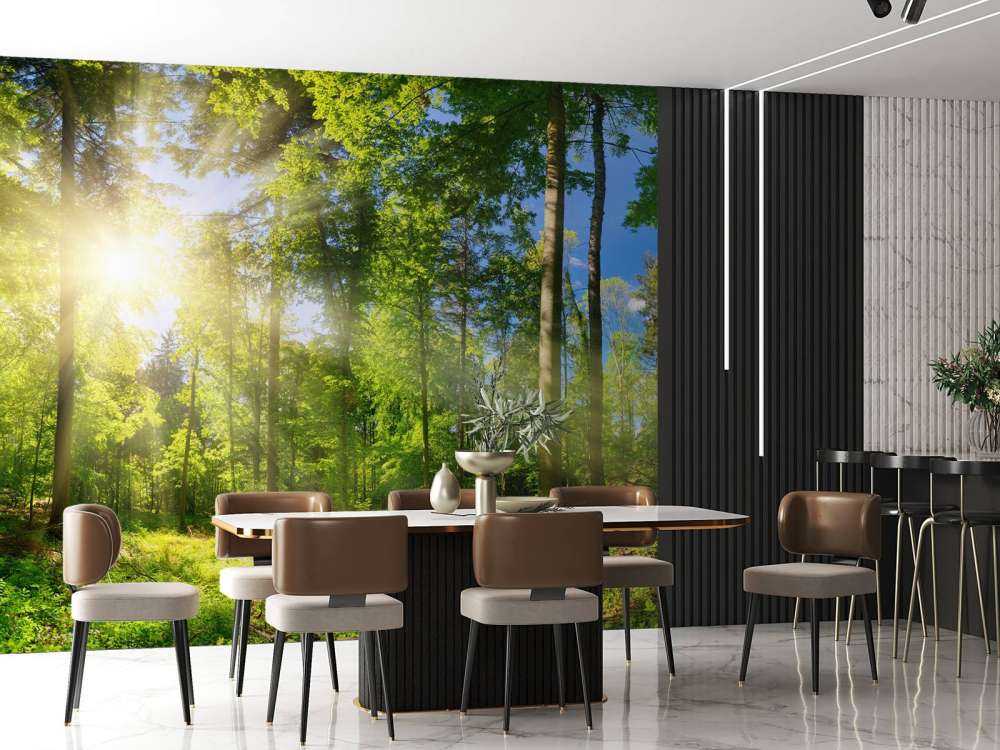 Las z promieniami słonecznymi