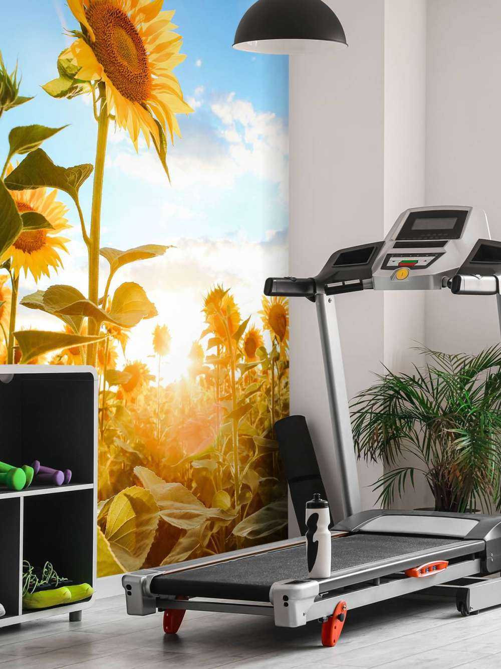 Słonecznik z błękitem nieba