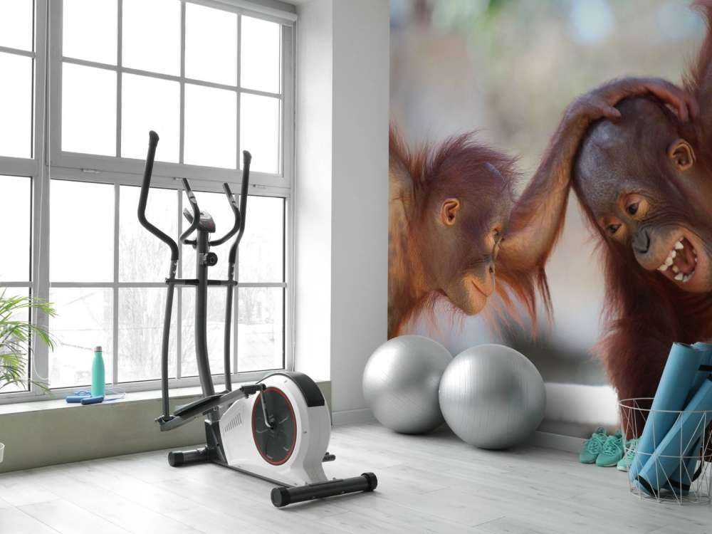 Dziecięce orangutany