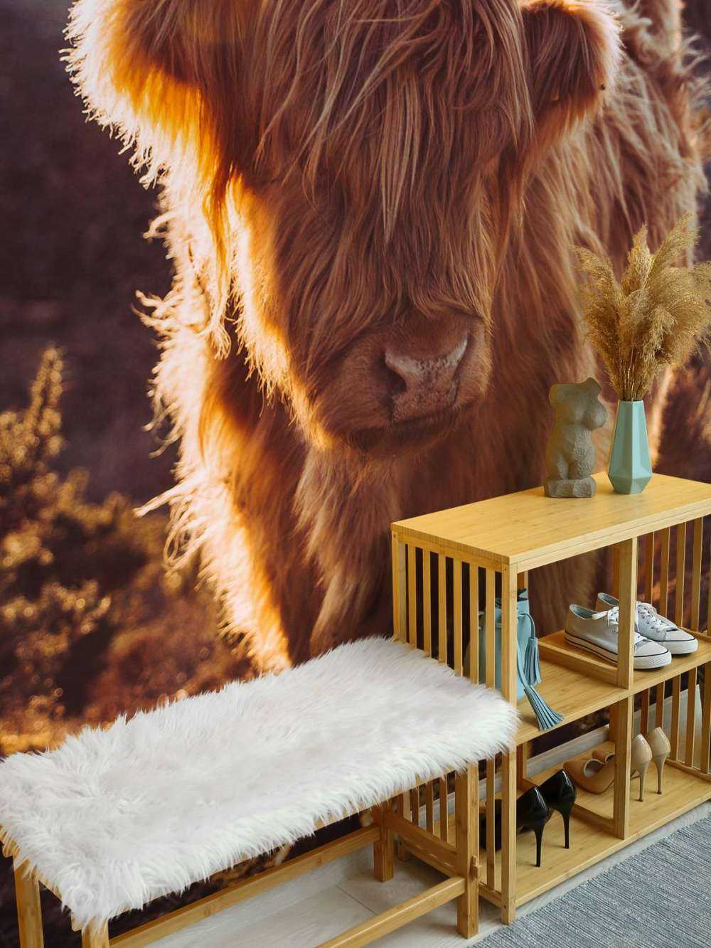 Szkocki wyżyn w słońcu