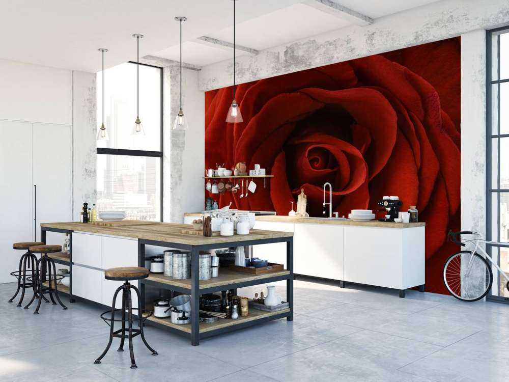 Zbliżenie na czerwoną róże