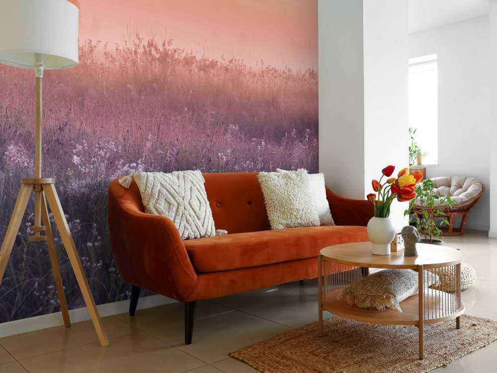 Pole z poranną mgłą