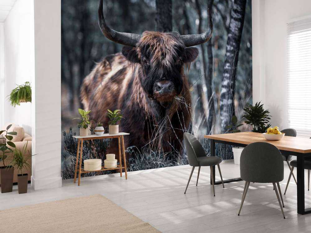 Szkocka rasa wyżynna