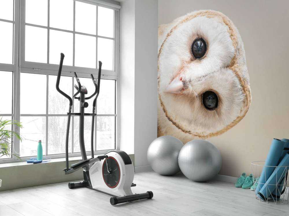 Sowa z przechyloną głową