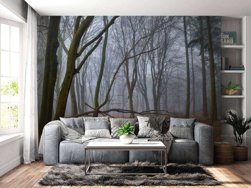 Tajemniczy, zamglony las