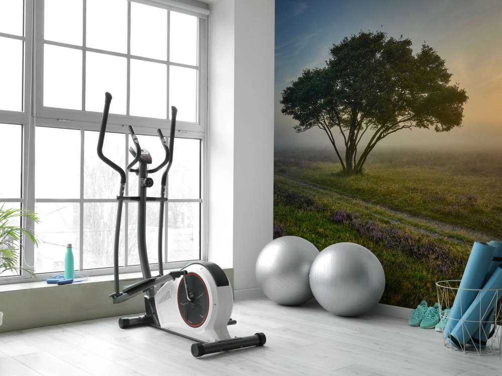 Wschód słońca na wrzosowisku