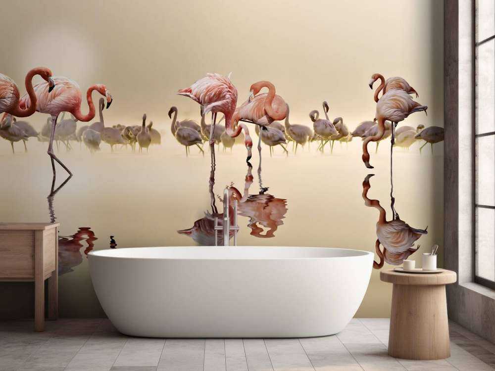 Flamingo Family