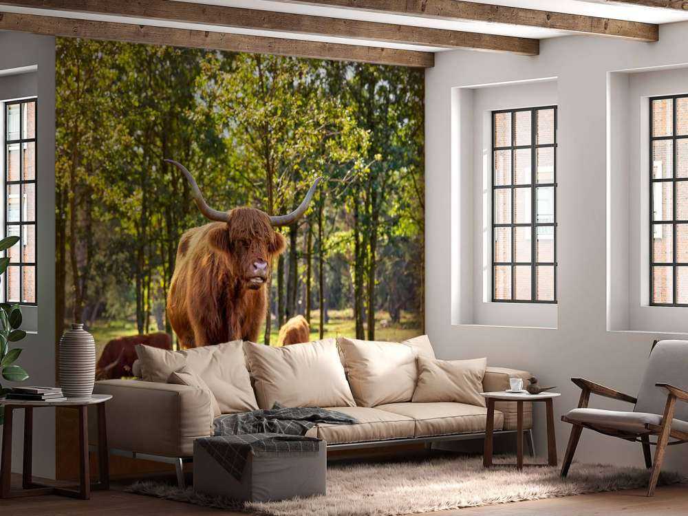 Wyżynny w rezerwacie przyrody