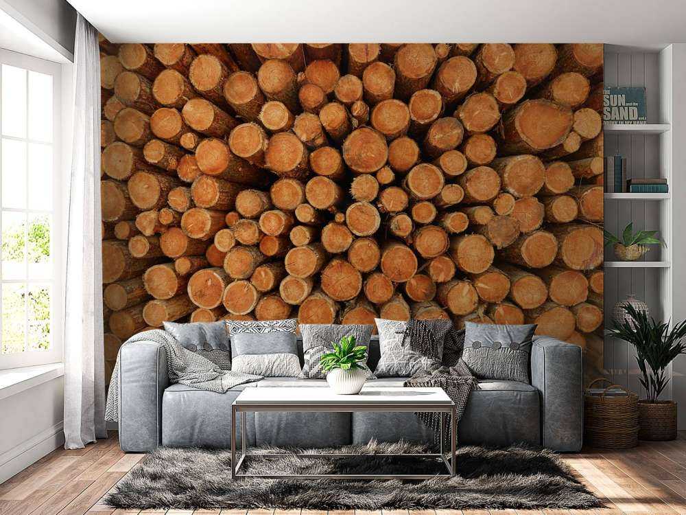 Kupa ciemnych pni drzew