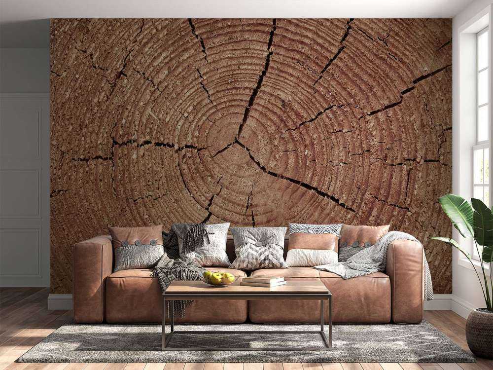 Pień drzewa z słojami rocznymi