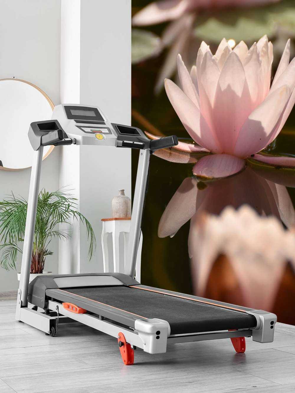 Kwiat lotosu w wodzie